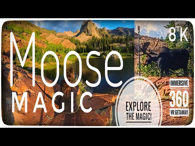 Moose Magic 🏕️🦌🏕️ : A Serene VR Escape To Mountain Lakes