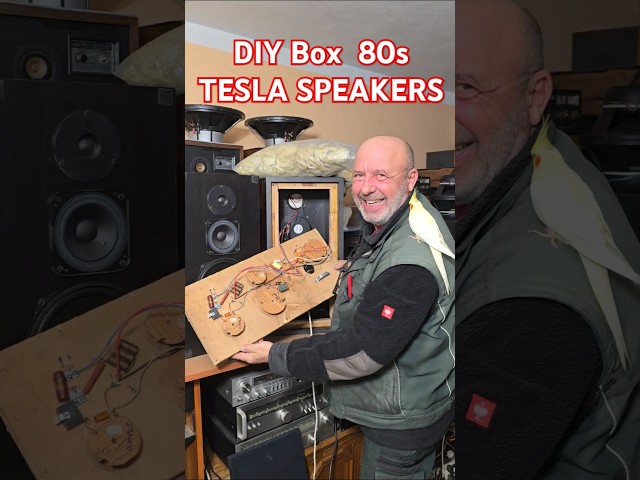 80s DIY Vintage TESLA Bass Reflex SPEAKER BOX Crossover - What is inside? - TESLA SPEAKERS