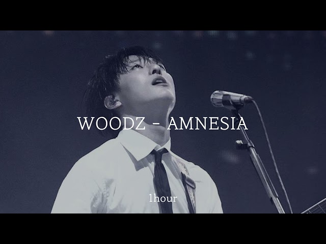 [역주행각! / 1시간 반복] WOODZ - AMNESIA | 1 hour loop