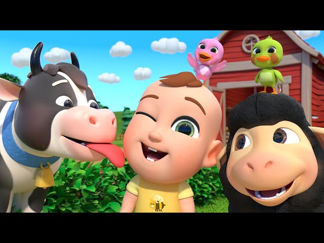 🔴Animal Nursery Rhymes For Newborns 🐑 🚌 Wheels on the Bus, Rain Rain Go Away & Other Kids Songs