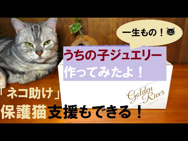 【猫助け】Cattonでうちの子ジュエリー作ったよ【保護猫支援】