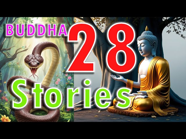 28 Life-Changing Buddhist Stories That Will Reshape Your Life Forever