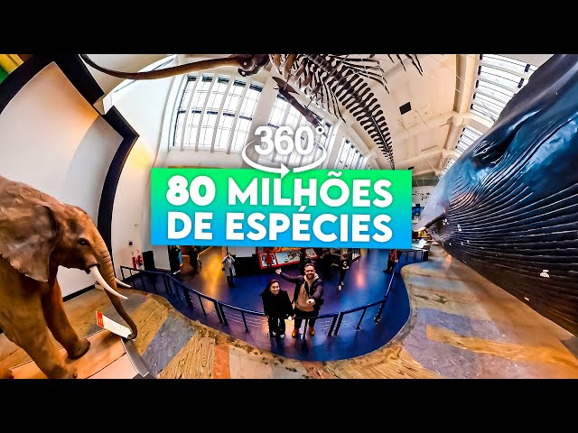 MUSEU DE HISTÓRIA NATURAL DE LONDRES EM REALIDADE VIRTUAL | 80 MILHÕES DE ESPÉCIES