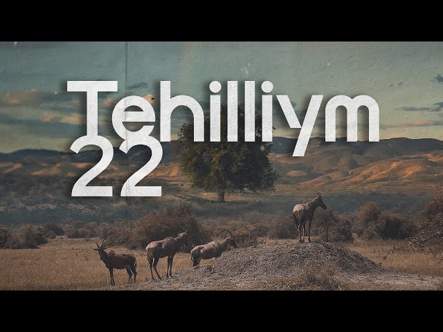 Tehilliym 22 | by Megan Foulds (Feat. Ya'acob) - Lyrics Video