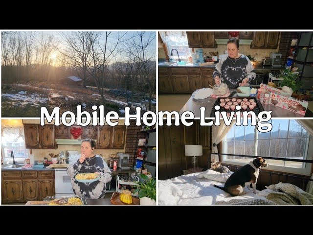 My mobile home life. / Mobile Home Living