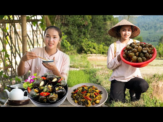 Rice Field Delicacies: Creative Recipes for Freshly Harvested Snails