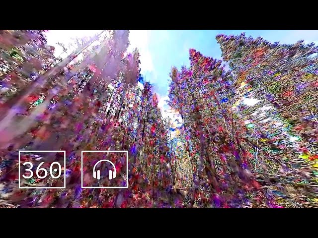 Datamoshed 360 Video of Colorado Wilderness with Generative Ambisonic Kyma Krell Soundtrack