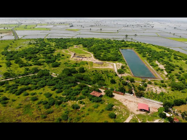 Revisiting India's First Port City: Lothal | On LHI Circle