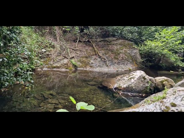 4k Ultra HD 30 fps, Virtual Walk in mountains of Corsica, France - Tour through Amazing Landscapes