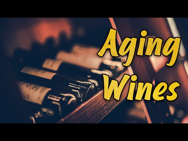 Everything About Aging Wine w/ BODEGA review