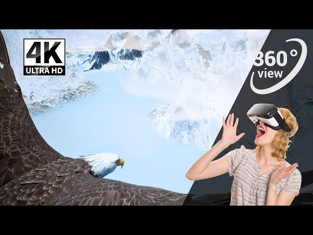 EAGLE FLY / 360 / VR