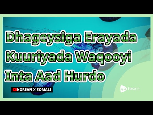 Dhageysiga Erayada Kuuriyada Waqooyi Inta Aad Hurdo | Golearn