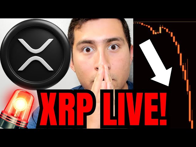 XRP ARE YOU READY FOR THIS!?🔴XRP Ripple LIVE