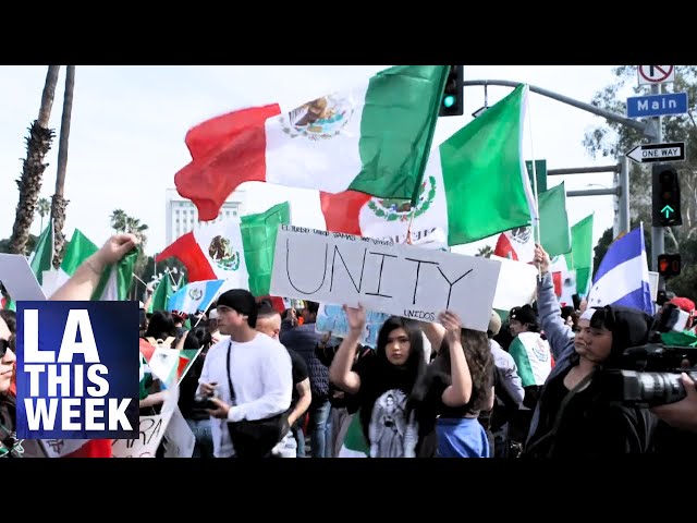 Immigration Protests in Los Angeles