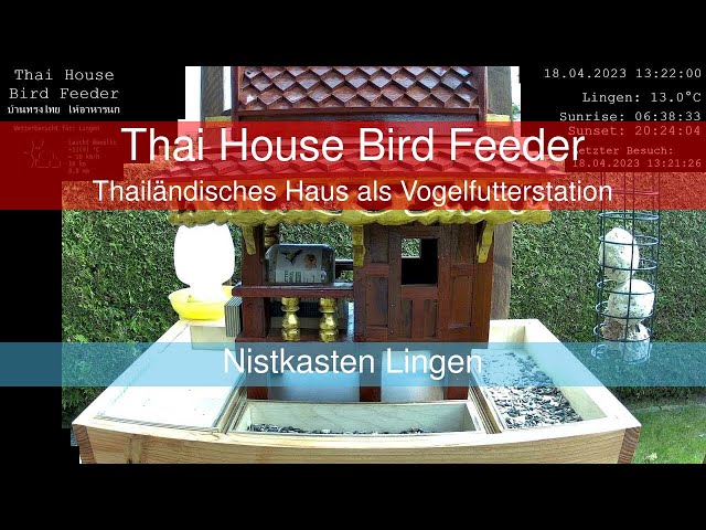 LIVE - Thailändisches Haus als Vogelfutterstation - Thai House Bird Feeder - บ้านทรงไทย ให้อาหารนก