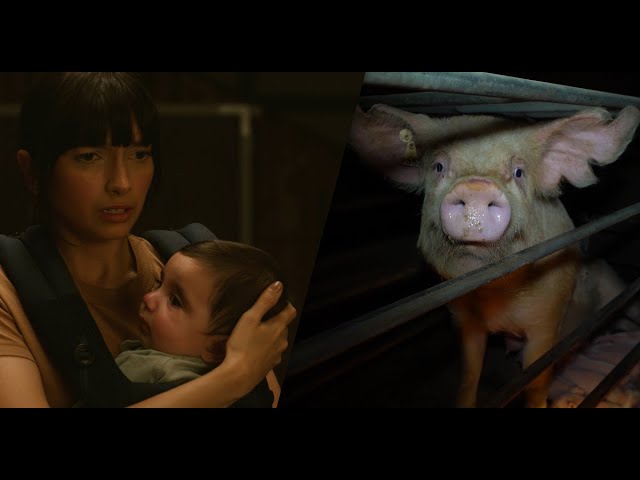 You didn't know did you? Powerful new TV ad campaign for pigs!