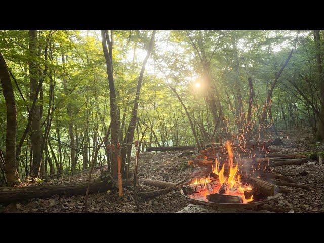 Relaxing at dawn with the campfire, sunrise, and birdsong - 明け方に焚き火と朝日と鳥の声でゆったりする1時間 | ambient ASMR