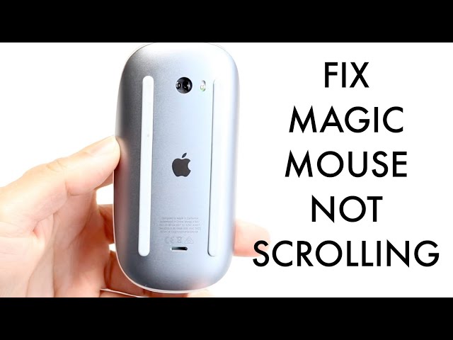 How To FIX Magic Mouse Not Scrolling! (2025)