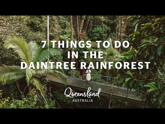 MUST DO DAINTREE EXPERIENCES...7 things to do in the Daintree Rainforest