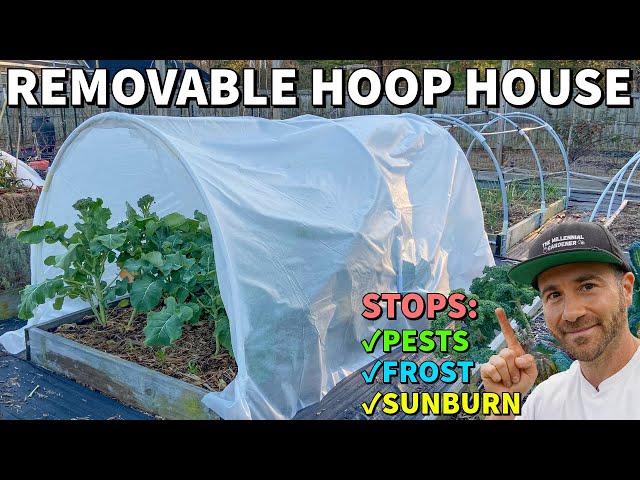 This New REMOVABLE HOOPHOUSE Design Will Change The Way You Garden!