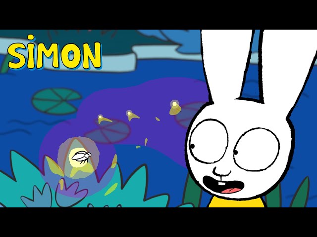 Luciole ou Fée ? 🧚‍♀️🌠 Une Nuit Magique pour Simon ! | Simon Superlapin | Épisodes Complets 1h S2