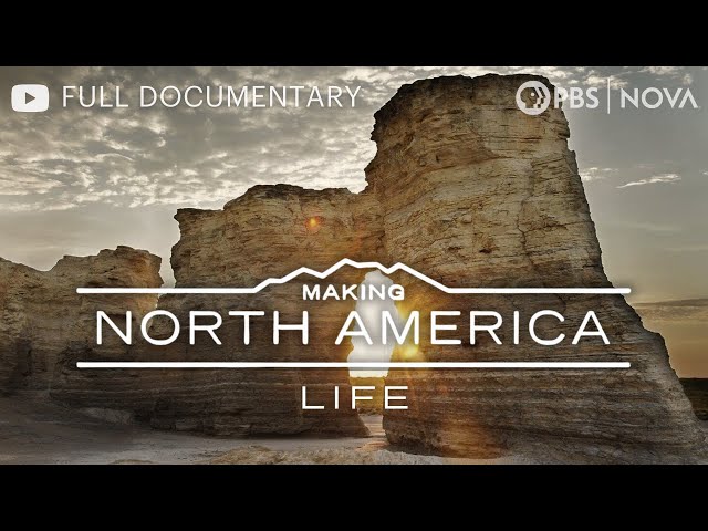 Making North America: When Dinosaurs Roamed | Full Documentary | NOVA | PBS