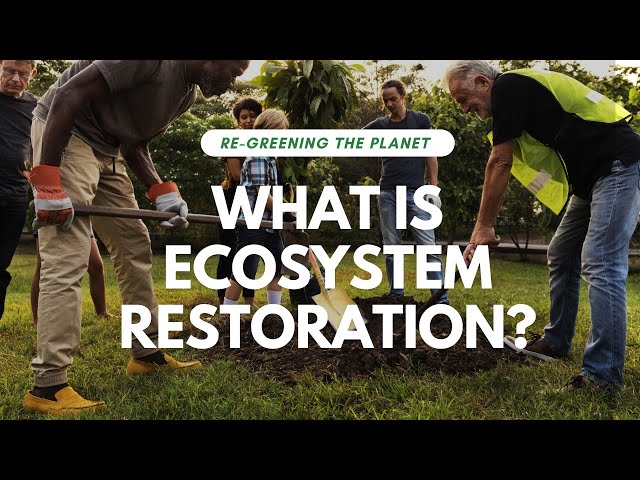 What is Ecosystem Restoration? | Regreening the Planet Part 2