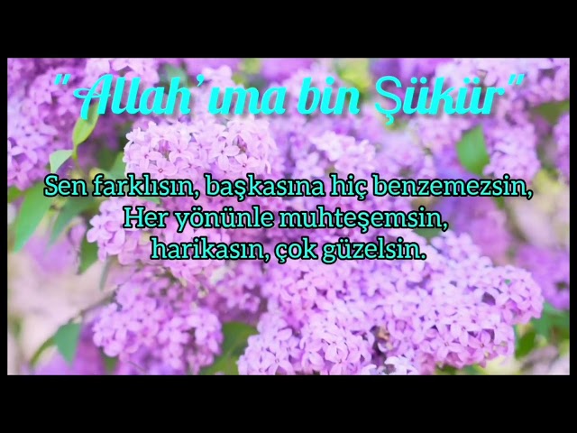 Şiir:Allah,ıma bin Şükür❤🌹Poesie:Gott sei Dank 🌹❤