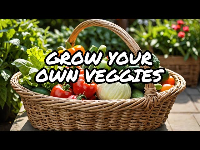 I Tried Vegetable Gardening for the First Time... Here’s What I Learned!