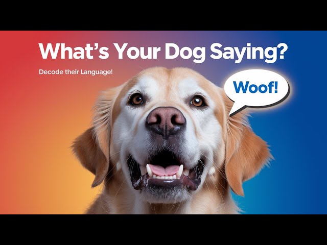 🐕 The Language of Dogs: Decoding Barks, Growls, and Whines 🐾