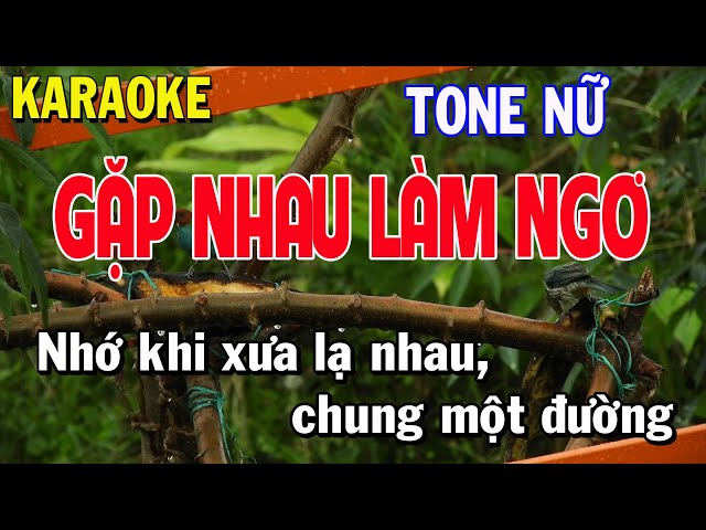 Gặp Nhau Làm Ngơ Karaoke Tone Nữ Thái Tài