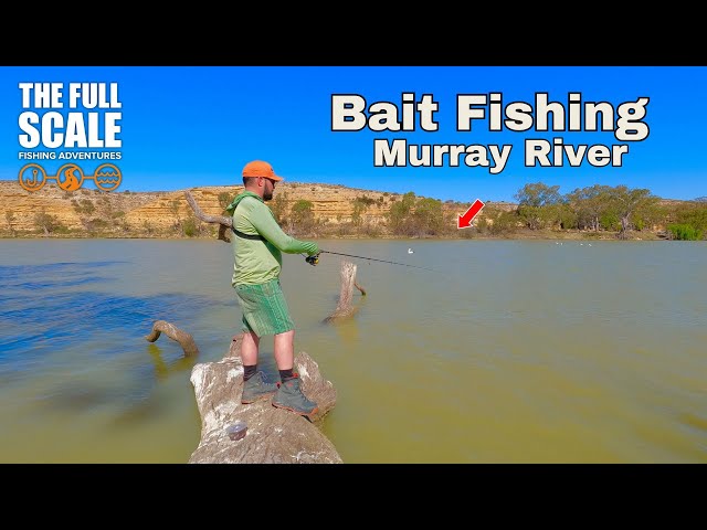 Bait Fishing Murray River From The Bank | The Full Scale