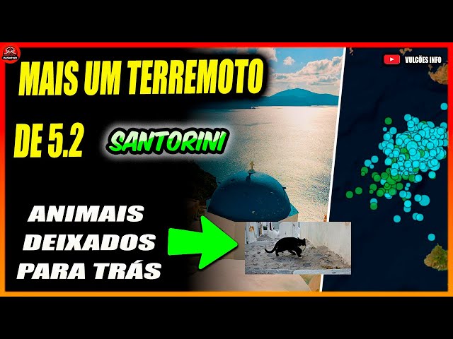 Mais de 4 mil terremotos,  e outra ilha em risco. Muitos animais foram abandonados na ilha