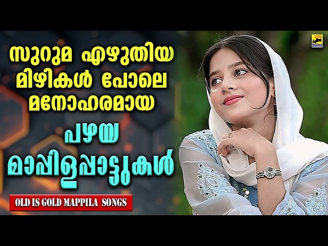 പഴയ മാപ്പിളപ്പാട്ടുകൾ Kannur Shareef Songs | Mappila Pattukal | Mappila Songs | Old Mappila Pattukal