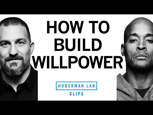 How to Build Willpower | David Goggins & Dr. Andrew Huberman