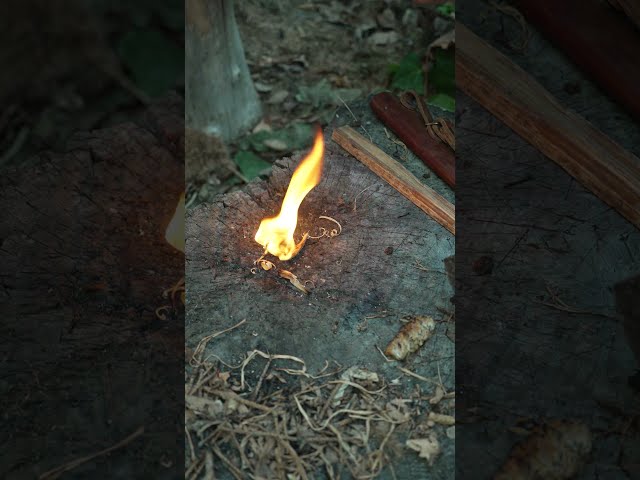 2 More NATURAL Materials For Easy Fire #bushcraft #survival #camping #fire