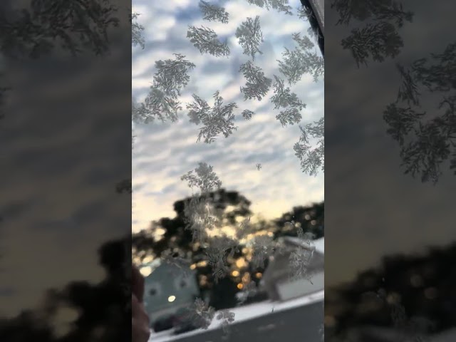 Snowflake images captured historic epic snowstorm of 2025 Pensacola Florida Video by Randall Morris