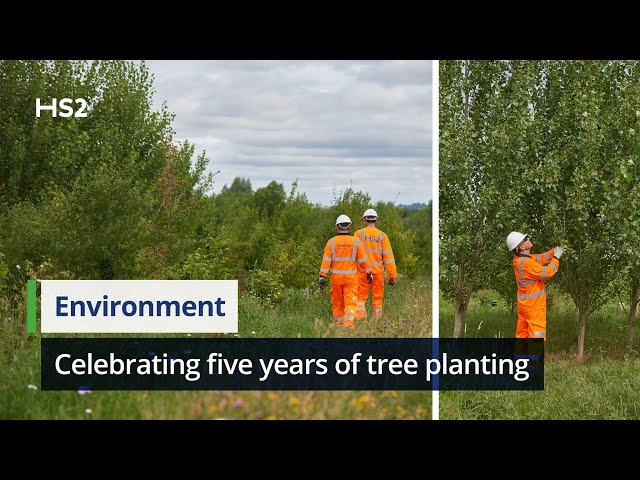 HS2 celebrates five years of tree planting and habitat creation