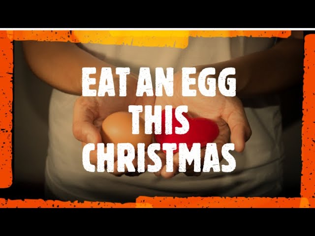 Eat an Egg at Christmas