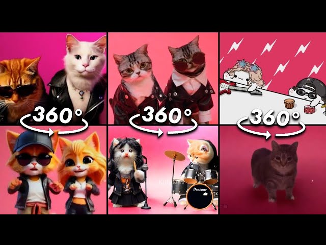 360º VR ROSÉ & Bruno Mars - APT / All Cat Version