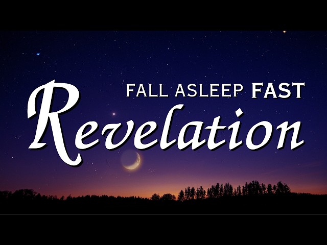 Fall Asleep to Revelation Like Never Before | Holy Bible Audio for Deep Sleep