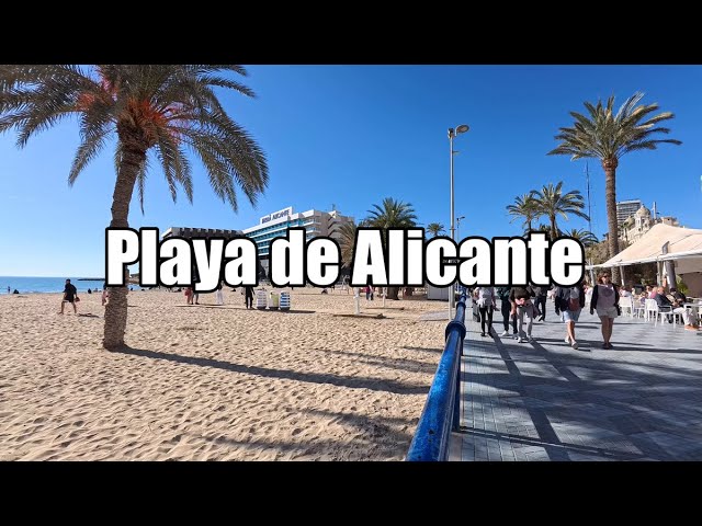 Alicante Beaches, Playa de Alicante