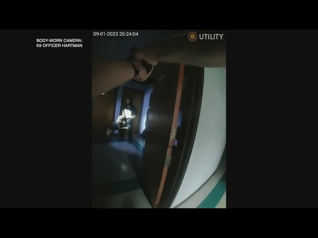 Edited IMPD body camera video shows shooting of suspect who allegedly stabbed K-9