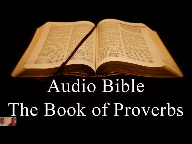 The Book of Proverbs - NIV Audio Holy Bible - High Quality and Best Speed Book 20 The Two Preachers