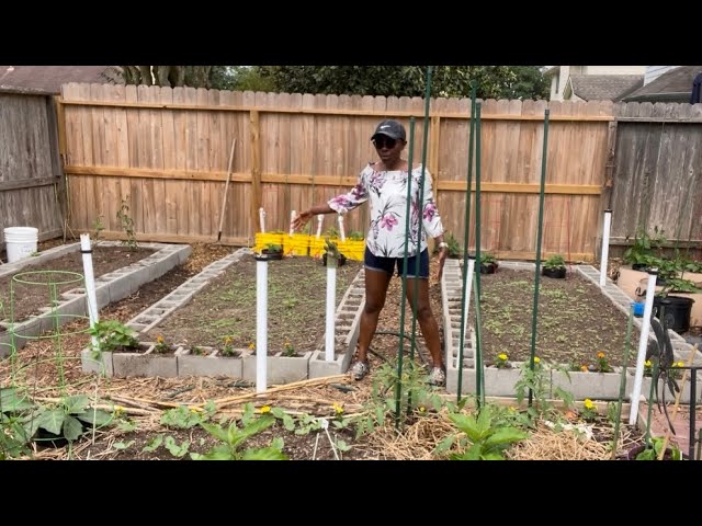 How to Build a Cinder Block Garden Bed - Useful Tips Revealed!