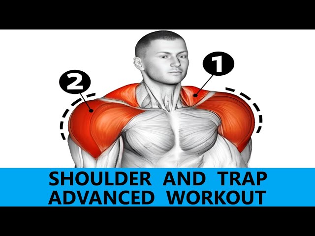 SHOULDER AND TRAP WORKOUT  ADVANCED WORKOUT  MUSCLE BUILDING WORKOUT