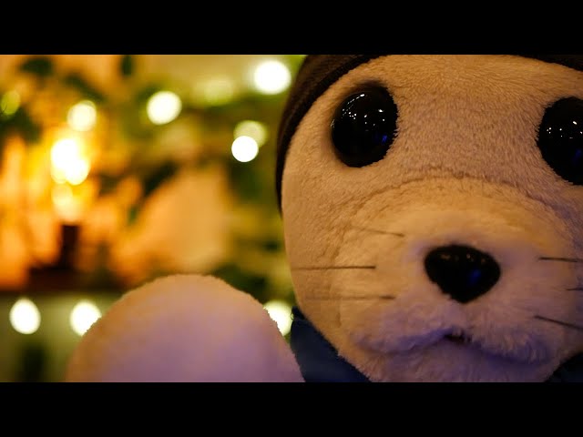 ASMR Therapy Roleplay | 🦭 Seal Therapist Eases Your Mind | Anxiety & Stress Relief