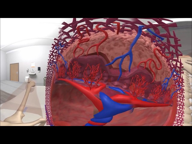 Visualisation in Midwifery