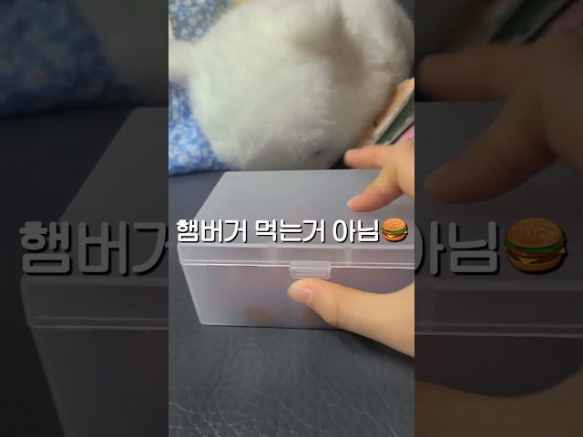 강아지 입양🐶#이름 추천