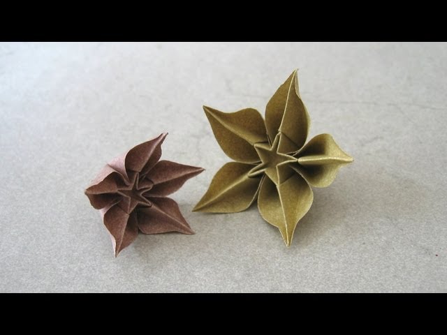 Origami Instructions: Carambola (Carmen Sprung)